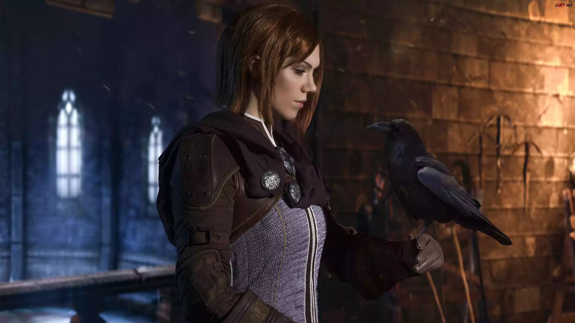 Gra, Dragon Age : Inkwizycja, Dziewczyna, Leliana, Kruk